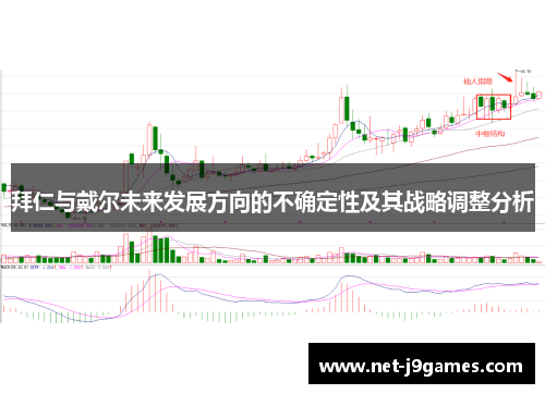 拜仁与戴尔未来发展方向的不确定性及其战略调整分析